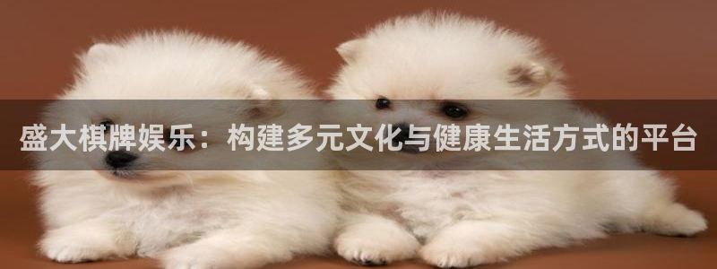 AB娱乐：盛大棋牌娱乐：构建多元文化与健康生活方式的平台