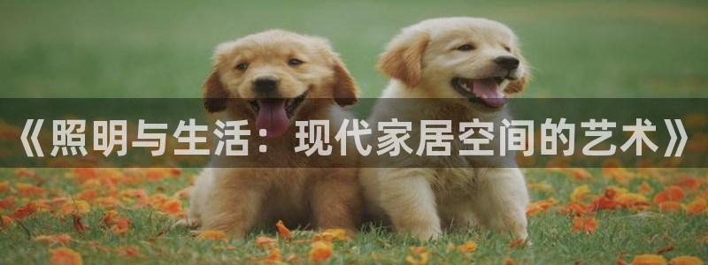 AB娱乐：《照明与生活：现代家居空间的艺术》