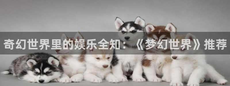 AB娱乐：奇幻世界里的娱乐全知：《梦幻世界》推荐