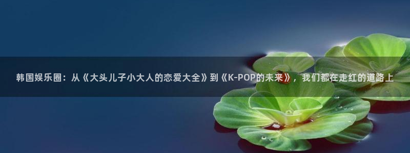 AB娱乐：韩国娱乐圈：从《大头儿子小大人的恋爱大全》到《K-POP的未来》，我们都在走红的道路上