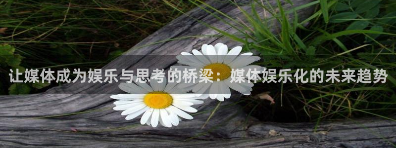 AB娱乐：让媒体成为娱乐与思考的桥梁：媒体娱乐化的未来趋势